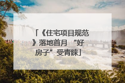 《住宅项目规范》落地首月 “好房子”受青睐