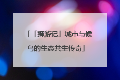 「狮游记」城市与候鸟的生态共生传奇