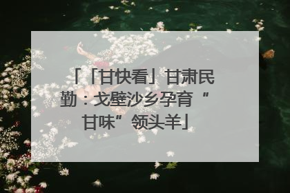 「甘快看」甘肃民勤：戈壁沙乡孕育“甘味”领头羊