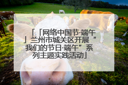 「网络中国节·端午」兰州市城关区开展“我们的节日·端午”系列主题实践活动