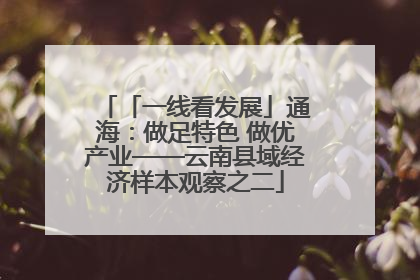 「一线看发展」通海：做足特色 做优产业——云南县域经济样本观察之二