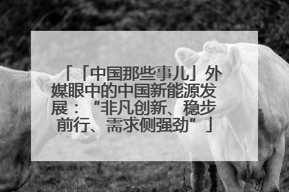 「中国那些事儿」外媒眼中的中国新能源发展：“非凡创新、稳步前行、需求侧强劲”