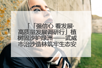 「强信心 看发展·高质量发展调研行」植树固沙护绿洲——武威市治沙造林筑牢生态安全屏障见闻