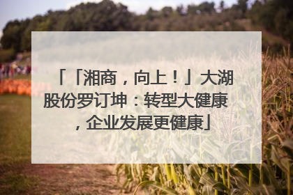 「湘商，向上！」大湖股份罗订坤：转型大健康，企业发展更健康