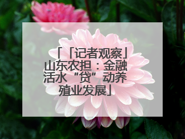 「记者观察」山东农担：金融活水“贷”动养殖业发展