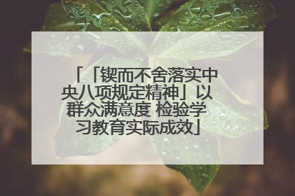 「锲而不舍落实中央八项规定精神」以群众满意度 检验学习教育实际成效