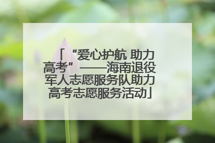 “爱心护航 助力高考”——海南退役军人志愿服务队助力高考志愿服务活动