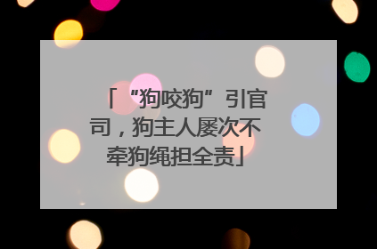 “狗咬狗”引官司，狗主人屡次不牵狗绳担全责