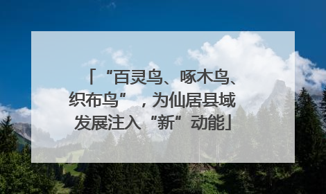 “百灵鸟、啄木鸟、织布鸟”，为仙居县域发展注入“新”动能