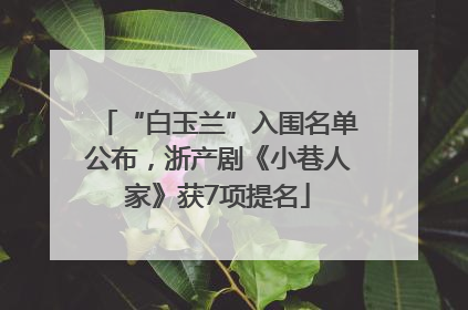 “白玉兰”入围名单公布，浙产剧《小巷人家》获7项提名