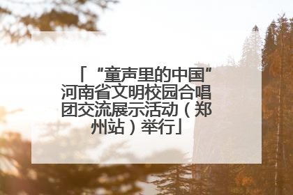 “童声里的中国”河南省文明校园合唱团交流展示活动（郑州站）举行