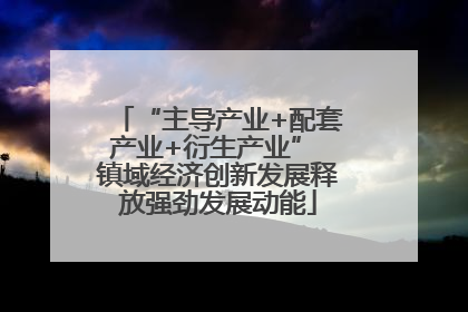 “主导产业+配套产业+衍生产业” 镇域经济创新发展释放强劲发展动能