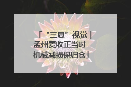 “三夏”视觉｜孟州麦收正当时 机械减损保归仓
