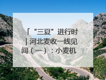 “三夏”进行时｜河北麦收一线见闻（一）：小麦机收减损“竞技” 农机高手麦田“过招”