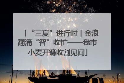 “三夏”进行时｜金浪翻涌“智”收忙——我市小麦开镰收割见闻