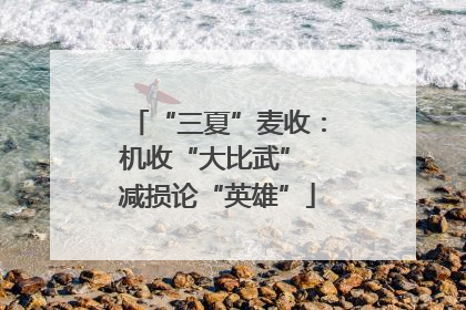 “三夏”麦收：机收“大比武” 减损论“英雄”