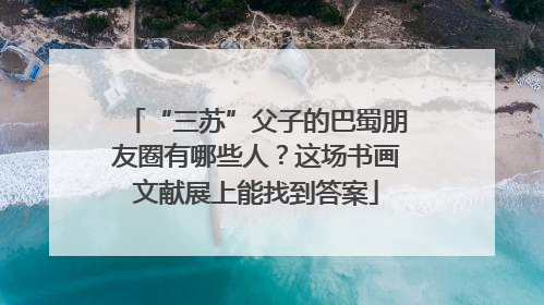 “三苏”父子的巴蜀朋友圈有哪些人？这场书画文献展上能找到答案
