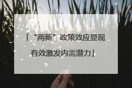 “两新”政策效应显现 有效激发内需潜力