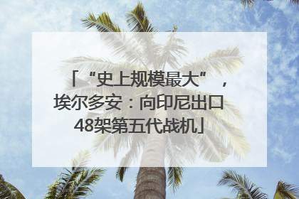 “史上规模最大”，埃尔多安：向印尼出口48架第五代战机