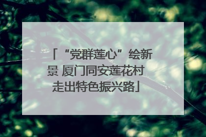 “党群莲心”绘新景 厦门同安莲花村走出特色振兴路