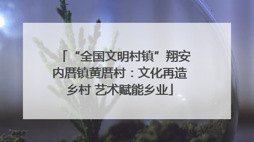 “全国文明村镇”翔安内厝镇黄厝村：文化再造乡村 艺术赋能乡业