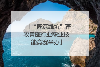 “匠筑潍坊”畜牧兽医行业职业技能竞赛举办