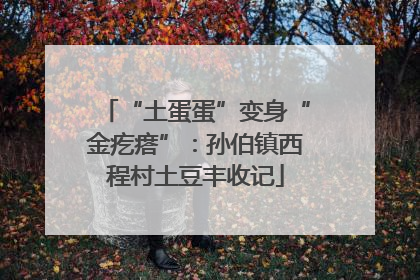 “土蛋蛋”变身“金疙瘩”：孙伯镇西程村土豆丰收记