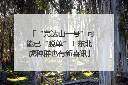 “完达山一号”可能已“脱单”！东北虎种群也有新喜讯