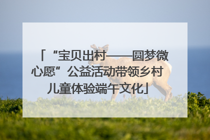 “宝贝出村——圆梦微心愿”公益活动带领乡村儿童体验端午文化