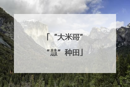 “大米哥”“慧”种田