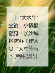 “大水牛”坐镇，小撬棍随身！长沙城区防办工作人员“人车等雨”严阵以待