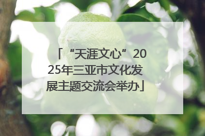 “天涯文心”2025年三亚市文化发展主题交流会举办