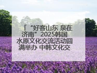 “好客山东 泉在济南”2025韩国水原文化交流活动圆满举办 中韩文化交流再添新彩
