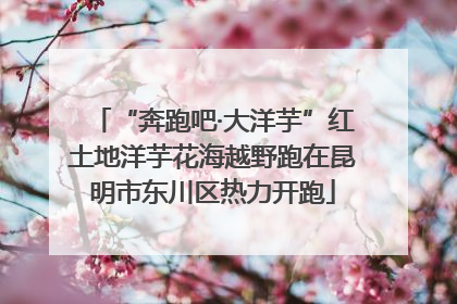 “奔跑吧·大洋芋”红土地洋芋花海越野跑在昆明市东川区热力开跑