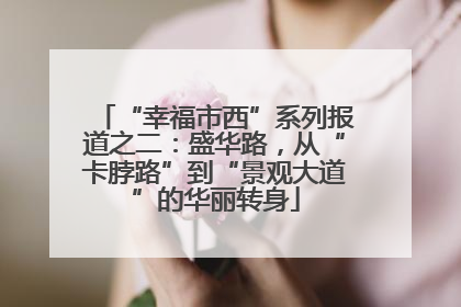“幸福市西”系列报道之二：盛华路，从“卡脖路”到“景观大道”的华丽转身