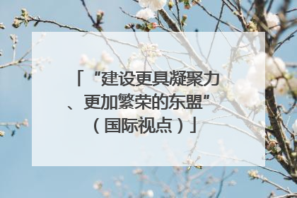 “建设更具凝聚力、更加繁荣的东盟”（国际视点）
