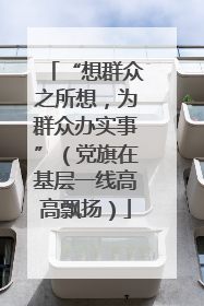 “想群众之所想，为群众办实事”（党旗在基层一线高高飘扬）