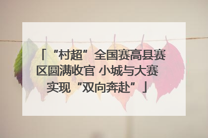 “村超”全国赛高县赛区圆满收官 小城与大赛实现“双向奔赴”