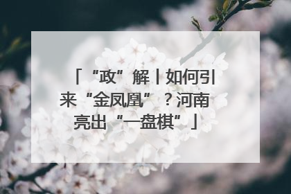 “政”解丨如何引来“金凤凰”？河南亮出“一盘棋”