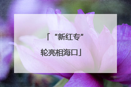 “新红专”轮亮相海口