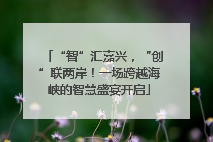 “智”汇嘉兴，“创”联两岸！一场跨越海峡的智慧盛宴开启