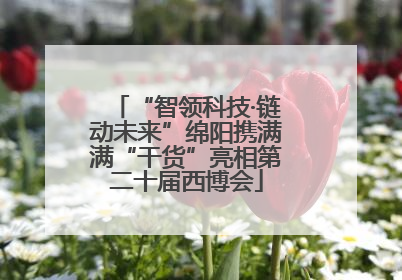 “智领科技·链动未来”绵阳携满满“干货”亮相第二十届西博会