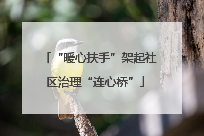“暖心扶手”架起社区治理“连心桥”
