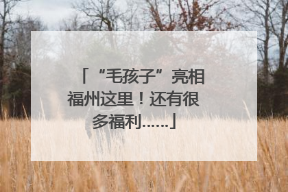“毛孩子”亮相福州这里！还有很多福利……