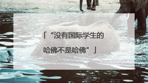 “没有国际学生的哈佛不是哈佛”