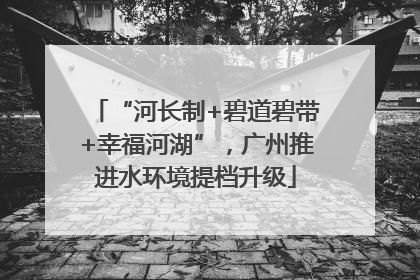“河长制+碧道碧带+幸福河湖”，广州推进水环境提档升级