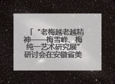 “老梅越老越精神——梅雪峰、梅纯一艺术研究展”研讨会在安徽省美术馆召开