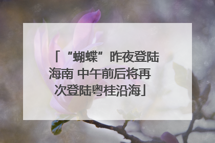 “蝴蝶”昨夜登陆海南 中午前后将再次登陆粤桂沿海