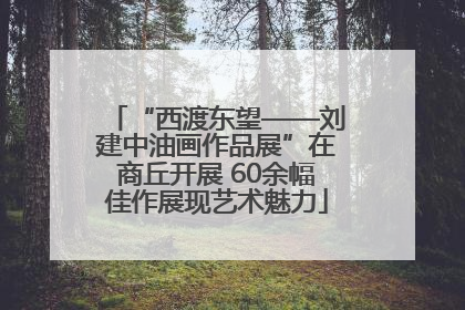 “西渡东望——刘建中油画作品展”在商丘开展 60余幅佳作展现艺术魅力
