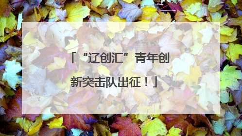 “辽创汇”青年创新突击队出征！